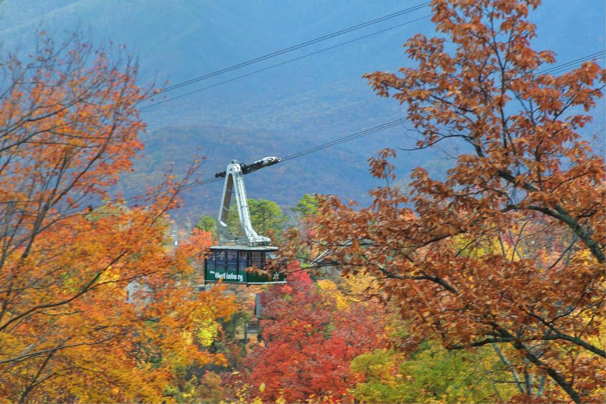 Knotty & Nice Holiday Home Gatlinburg Dış mekan fotoğraf